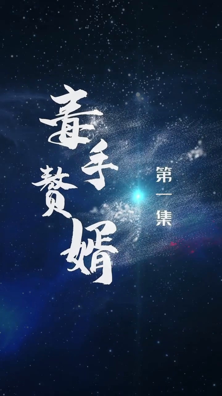 毒手赘婿 第01集