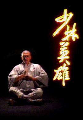 少林英雄王伟版国语 第01集