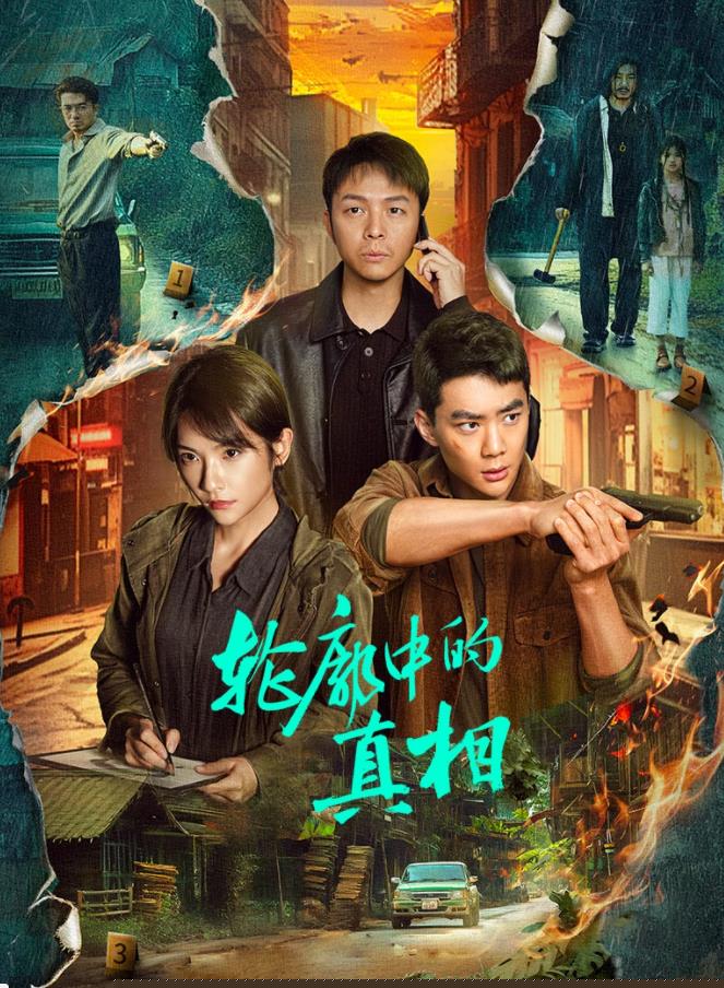 轮廓中的真相 第12集