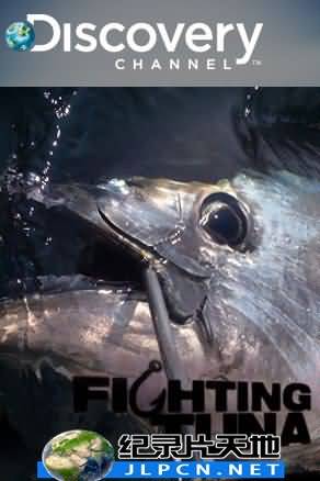 搏黑鲔拼现金 第02集(大结局)