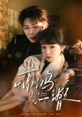 惊鸿一瞥(全集)