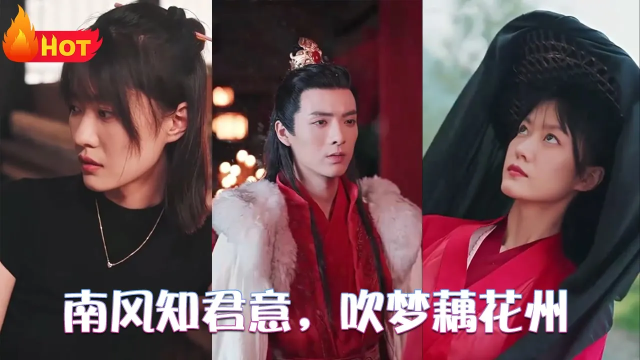 南风知君意，吹梦藕花州 全集(大结局)